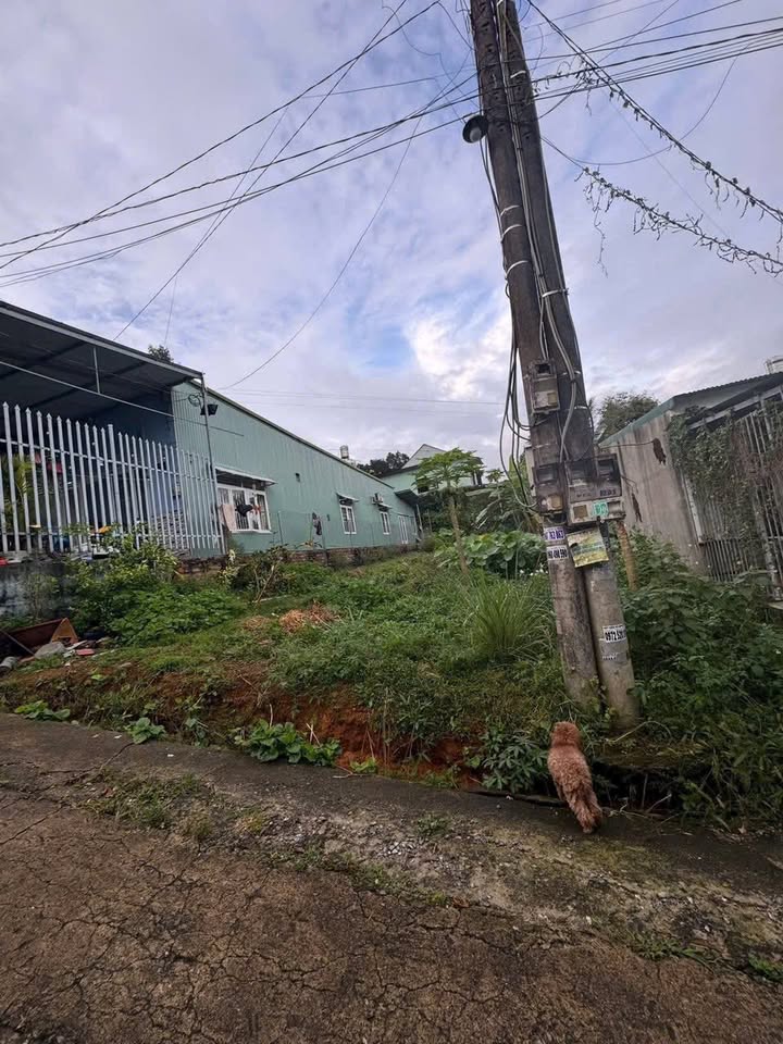 Đất thổ cư 150m² tại Hẻm 118, Đường 1/5, B'Lao - Giá chỉ 1.85 tỷ