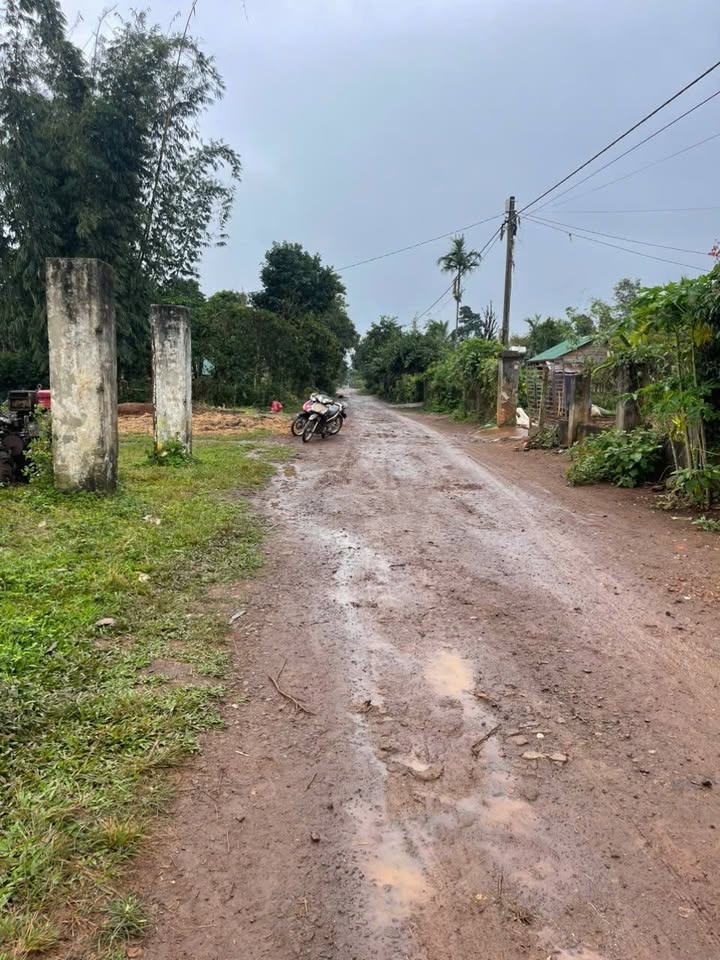 Đất nền Ea Tul Cư M'gar 7560m² giá thỏa thuận - Cơ hội đầu tư tuyệt vời!