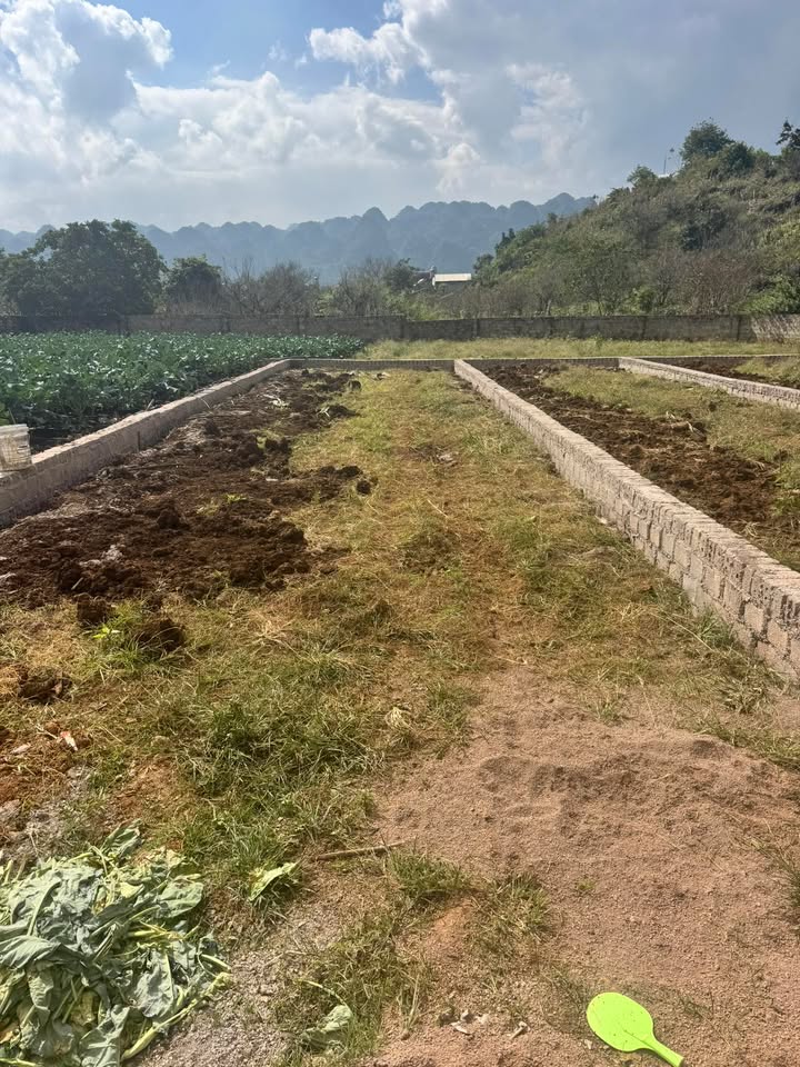 Đất nền Mộc Sơn 115m² giá 1.4 tỷ - Sổ đỏ chính chủ, công chứng trong ngày!