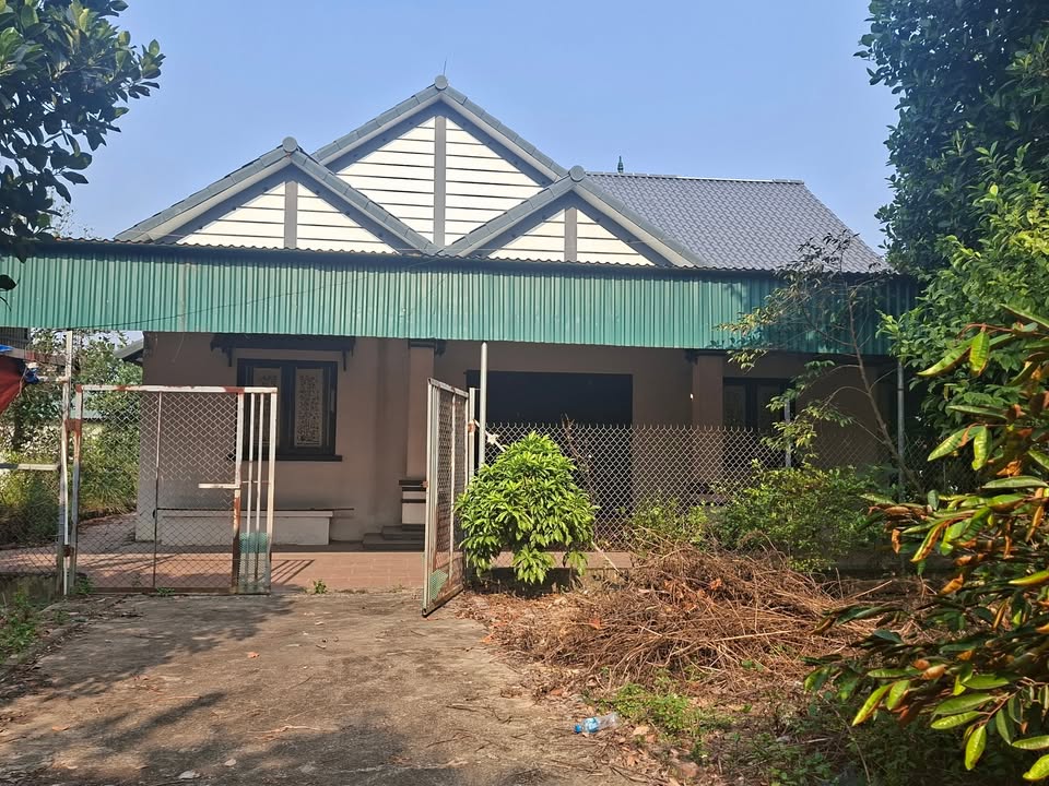 Cho thuê farm Kim Long - Tam Dương - Vĩnh Phúc 5000m² - Không gian lý tưởng cho chăn nuôi!