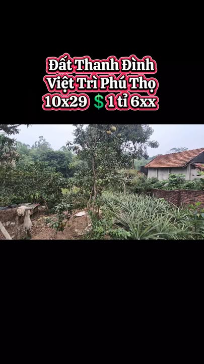 Đất lô góc Thanh Đình, Việt Trì 300m² giá 1 tỷ - Hướng Đông-Nam, ô tô vào tận đất!