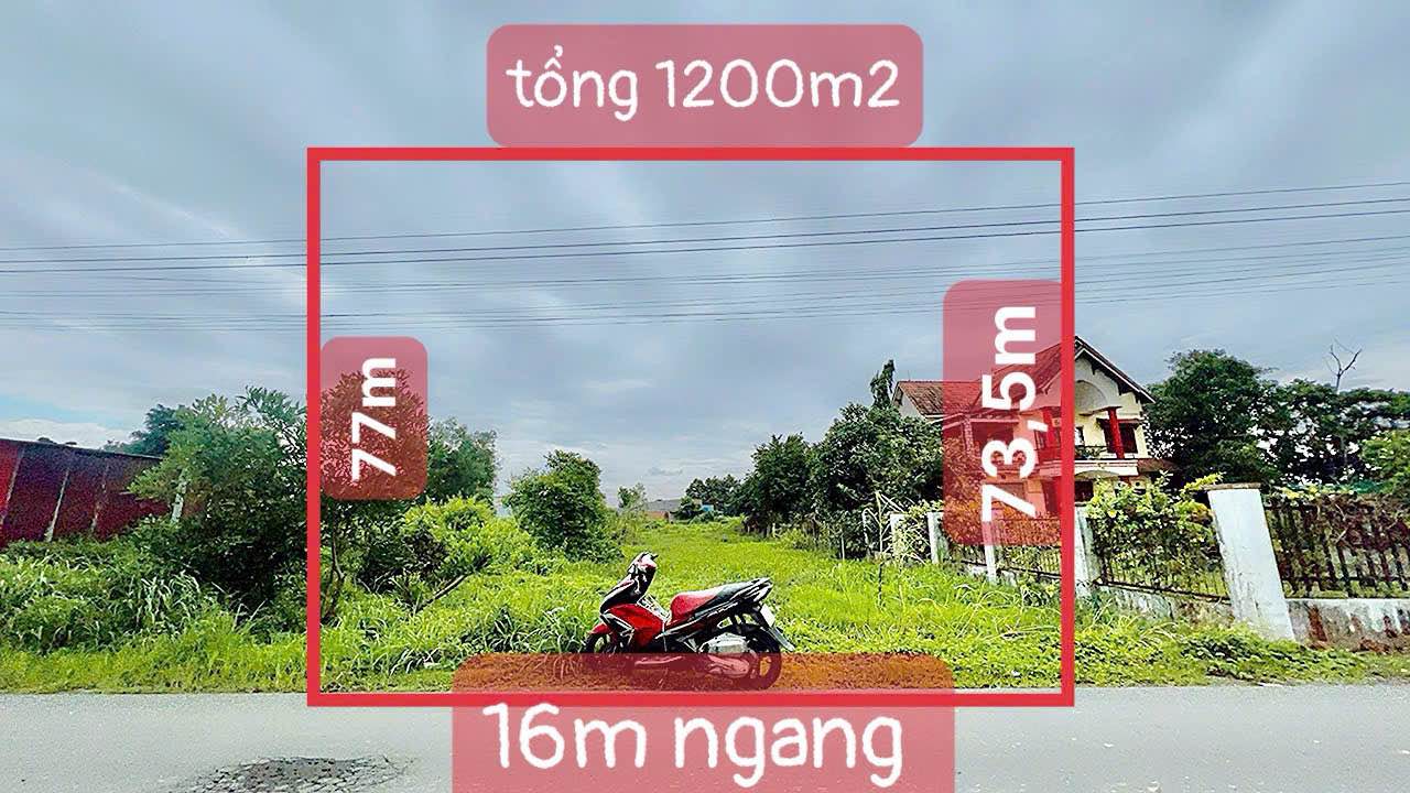 Đất nền 1200m² sổ riêng tại Hố Nai, Đồng Nai - Giá chỉ 4 tỷ, thương lượng nhẹ!