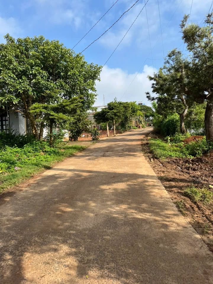 Đất thổ cư 1200m² tại Quảng Lập chỉ 800 triệu - Cơ hội đầu tư hiếm có!