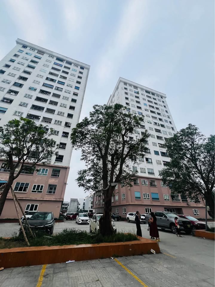 Chung cư Golden City 6A Vinh 58m² - Chính chủ cần chuyển nhượng!