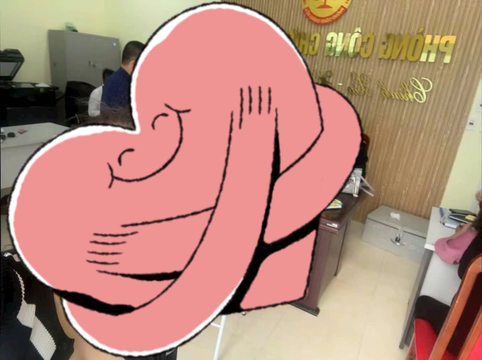 Đất nền Phong Châu 100m² chỉ 600 triệu - Cơ hội đầu tư sinh lời!