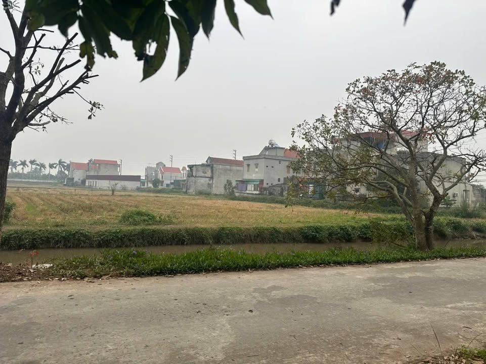 Đất nền xóm Hương, xã Khánh Hội, 115m² - Đón sóng đầu tư ngay!