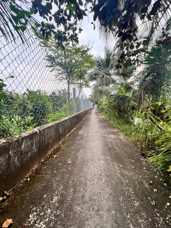 Đất nền Song Bình Chợ Gạo 97m² giá chỉ 210 triệu - Cơ hội đầu tư hấp dẫn!