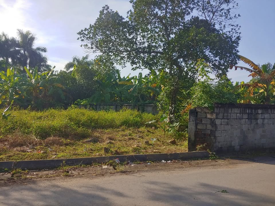 Đất nông nghiệp Hòa Sơn Lương Sơn 4,3ha giá chỉ 1 triệu/m² - Cơ hội đầu tư tuyệt vời!