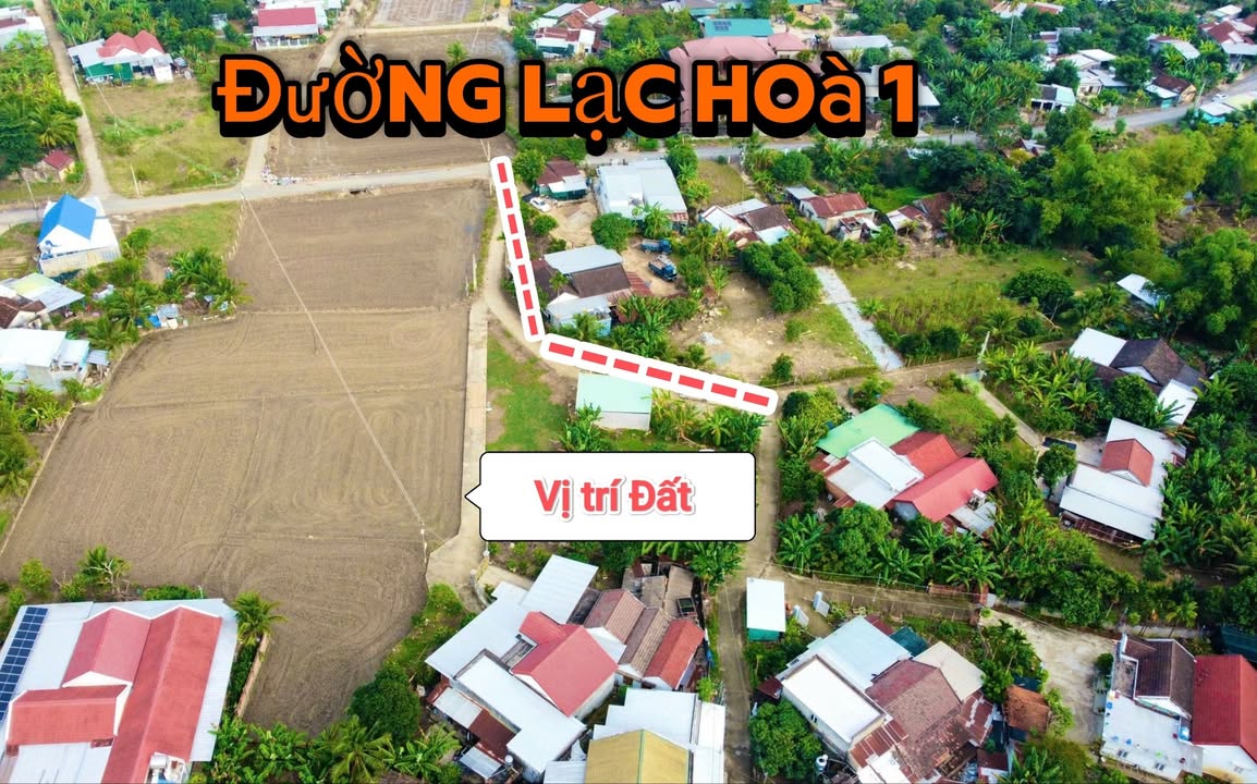 Đất Diên Lạc 116m² giá 850 triệu - Gần đường Lạc Hòa chỉ 200m!