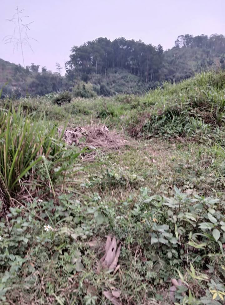 Đất mặt đường Hợp Minh, Yên Bái 145m² - Giá thỏa thuận, vị trí đắc địa!