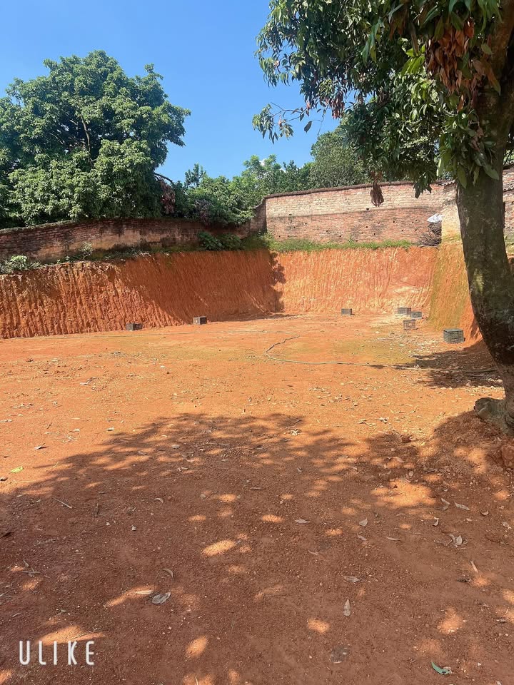 Đất nền 370m² khu phố 8 Hà Lộc giá 1.55 tỷ - Đầu tư sinh lời ngay!