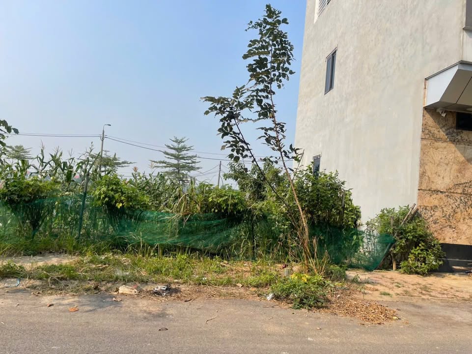 Đất thổ cư 85m² tại Khu 3 Sông Lô, Việt Trì giá 2.8 tỷ - Đầu tư sinh lời ngay!