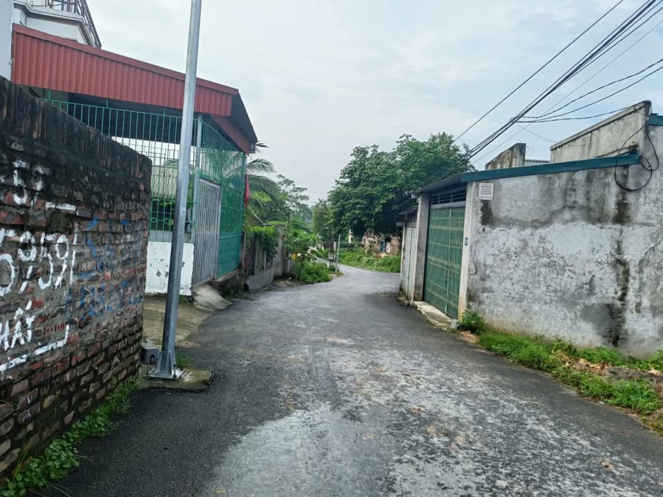 Lô Đất 2 Mặt Tiền Ngô Quang Bích, Cẩm Khê 115m² - Cơ Hội Đầu Tư Sinh Lời Cao!