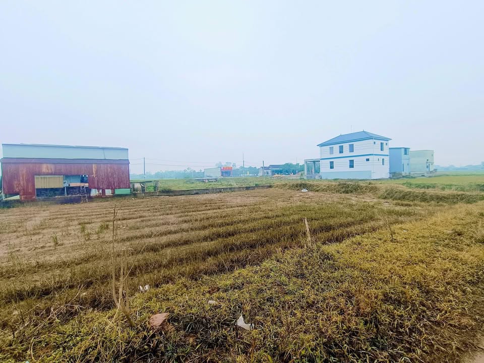 Đất nền Tùng Sơn, Cẩm Xuyên 200m² giá 1.6 tỷ - Pháp lý rõ ràng, đầu tư sinh lời!