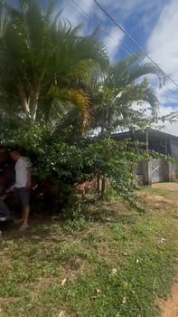 Đất nền Đăk Hring, Đăk Hà 281.25m² giá 300 triệu - Đầu tư tiềm năng ngay hôm nay!