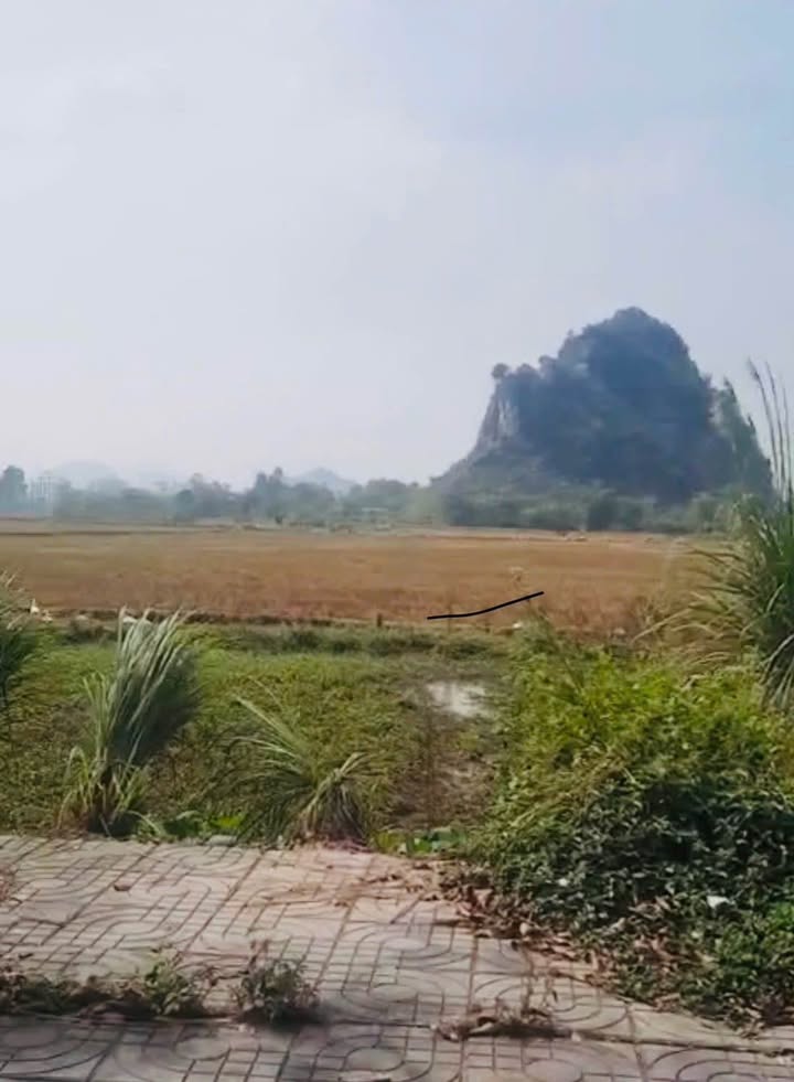 Đất nền đường Phong Phú, Hoa Lư 100m² giá 3.8 tỷ - Đầu tư sinh lời ngay!