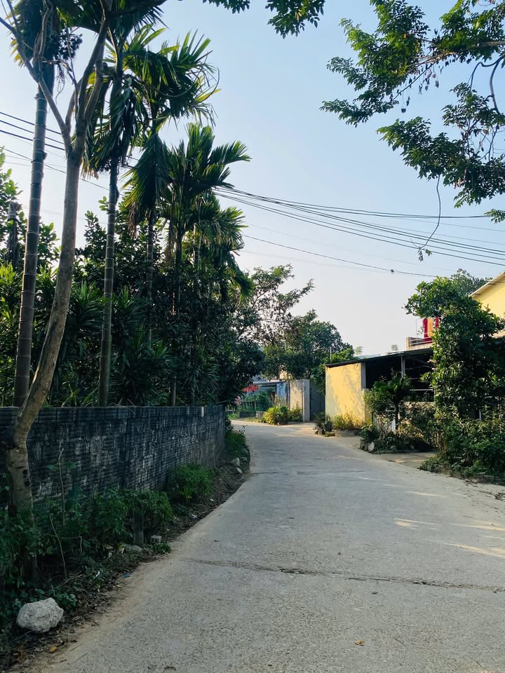 Đất nền tổ dân số Trung Môn 12, phường Minh Xuân, 300m² giá 3.3 tỷ - Đầu tư sinh lời ngay!