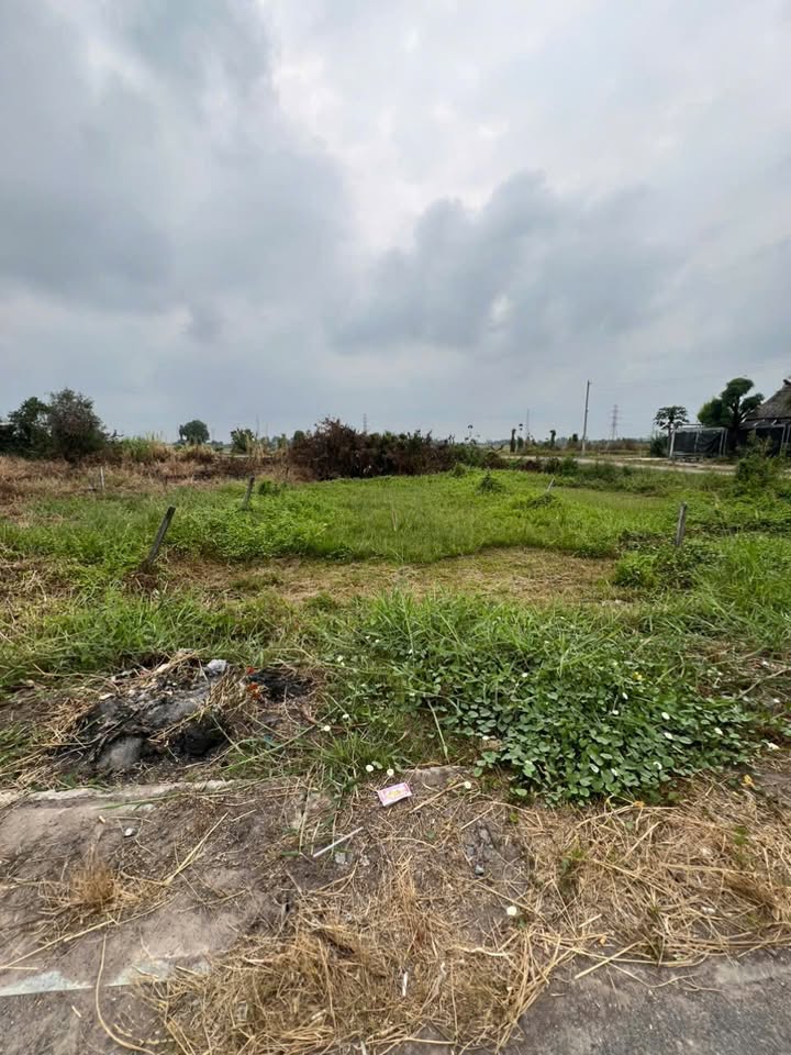 Bán đất mặt tiền Tỉnh Lộ 7 Củ Chi 383m² - Tiềm năng kinh doanh lớn!