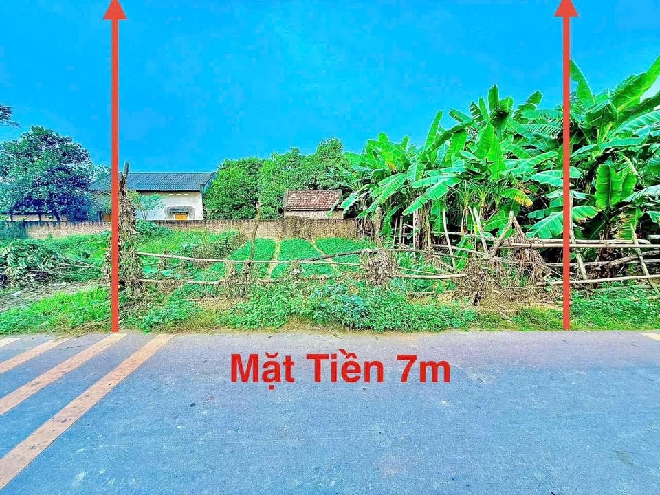 Đất nền Hương Vị, Hương Sơn, Bình Xuyên 82.9m² giá 1.2 tỷ - Đầu tư sinh lời ngay!