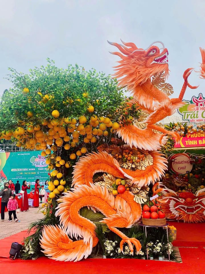 Farm 400m² tại phường Chũ, Bắc Giang - Nghỉ dưỡng cuối tuần lý tưởng!