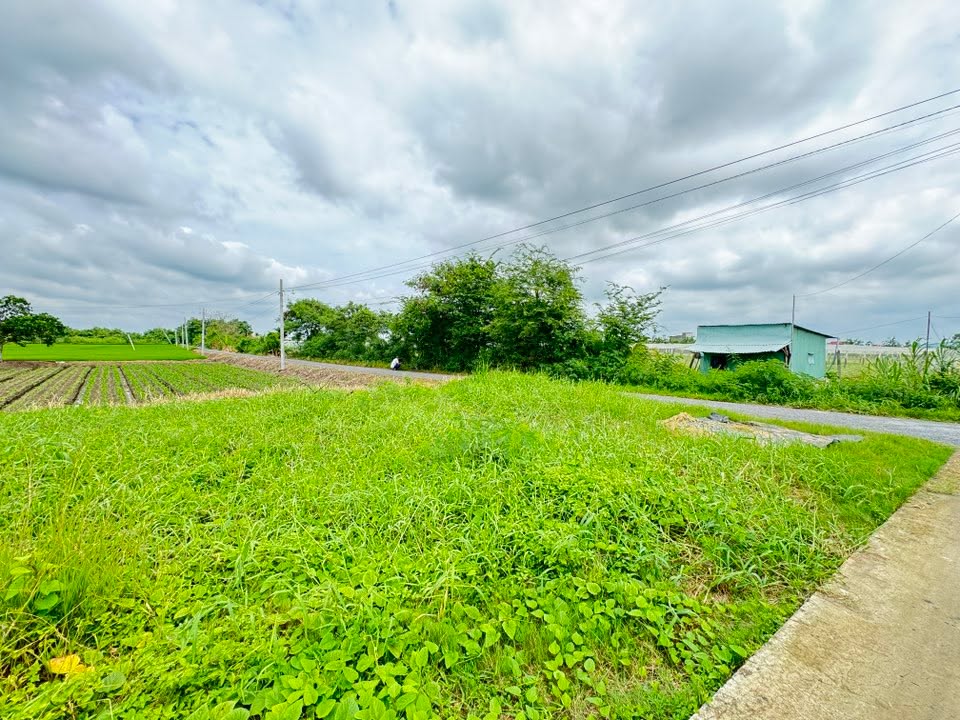 Đất nền mặt tiền đường Tân Xã 216m² giá 880 triệu - Vị trí đẹp, đầu tư hấp dẫn!