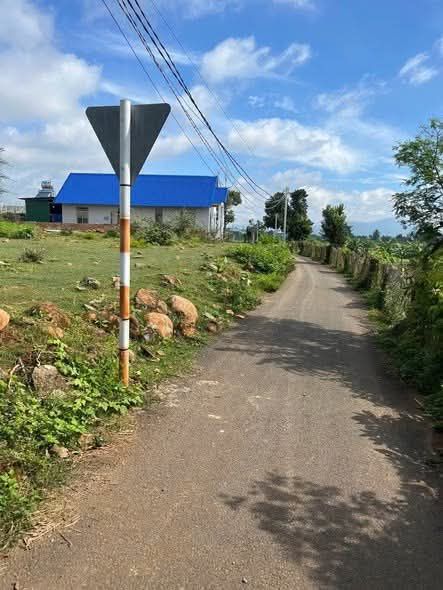 Đất nền Phú Hội, Đức Trọng 150m² giá 1.18 tỷ - Cơ hội đầu tư hiếm có!