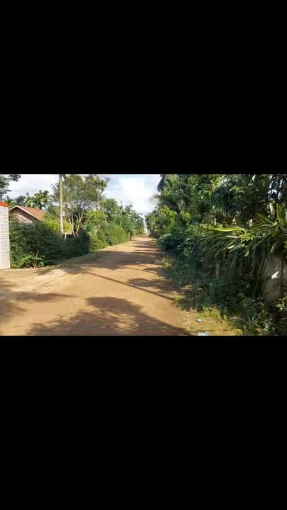 Đất nền Cư Kuin Đắk Lắk 175m² giá 525 triệu - Cơ hội đầu tư tốt!