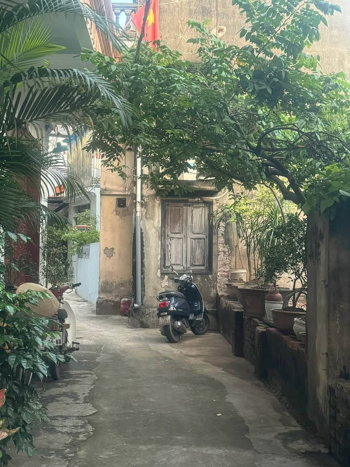 Đất nền đẹp Lực Canh, Đông Anh 82.2m² giá 6 tỷ - Pháp lý rõ ràng!