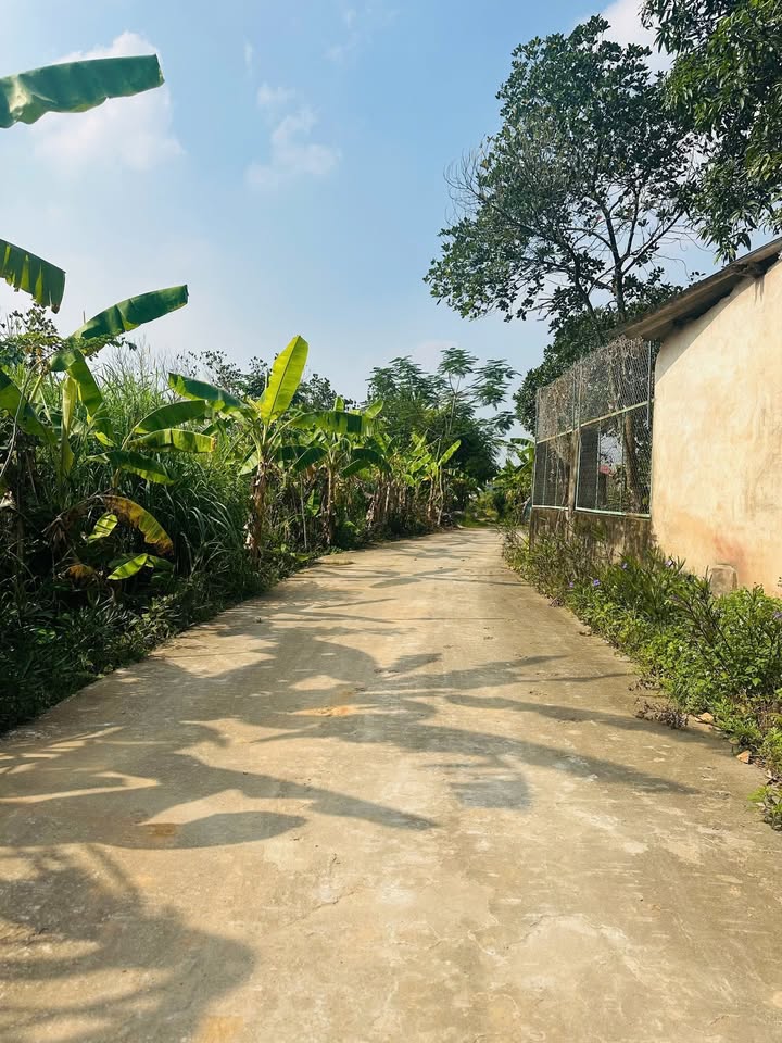 Đất nền Tiên Dược Sóc Sơn 122m² giá chỉ 750 triệu - Cơ hội đầu tư hấp dẫn!