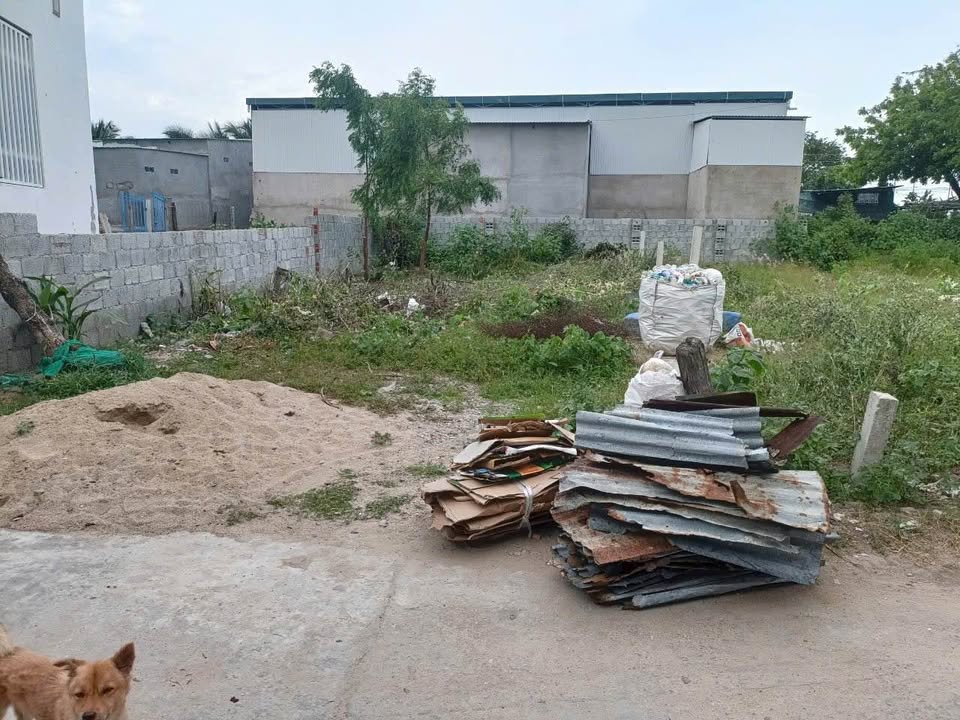 Lô đất thổ cư Mỹ Hải, Phan Rang 156m² giá 1.49 tỷ - Cơ hội đầu tư hấp dẫn!