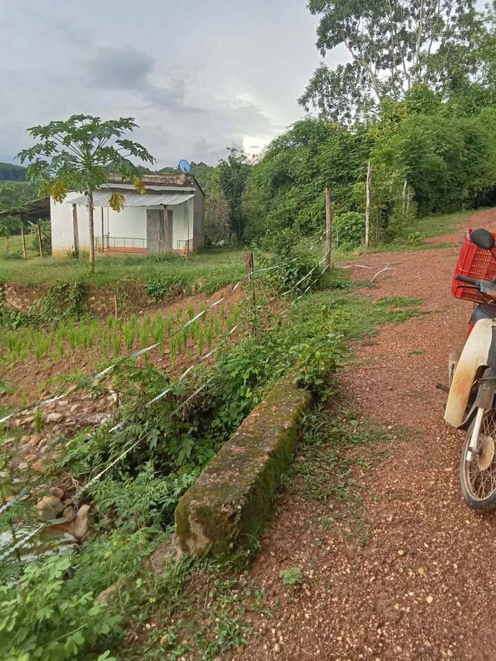 Đất nền Lộc Thiện 6000m² giá 900 triệu - Sổ hồng chính chủ!