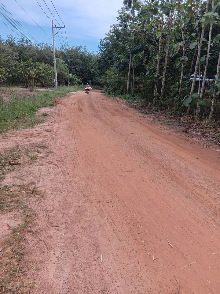 Đất Farm Lộc Thiện 1,3ha giá 2 tỷ - Tiềm năng đầu tư vượt trội!