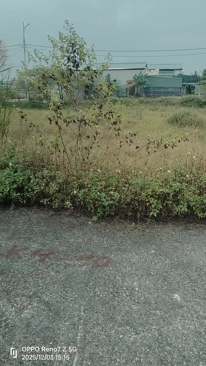 Đất nền Liêm Phong Thanh Liêm 85m² giá 1.9 tỷ - Cơ hội đầu tư không thể bỏ lỡ!