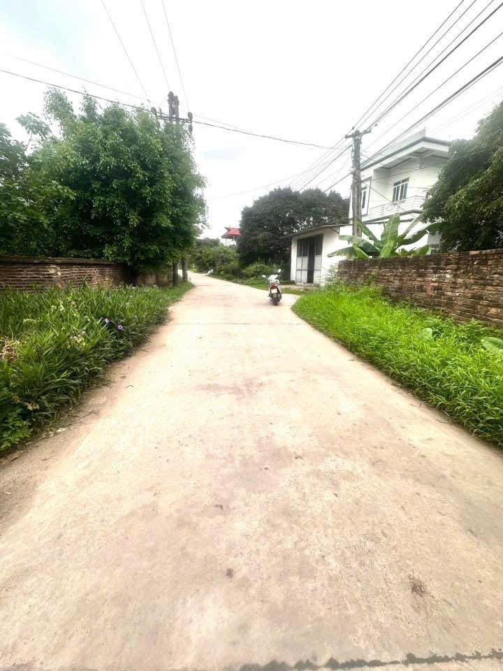 Đất nền Ngọc Châu, Tân Yên, Bắc Giang 135m² giá 1 tỷ - Cơ hội kinh doanh tuyệt vời!