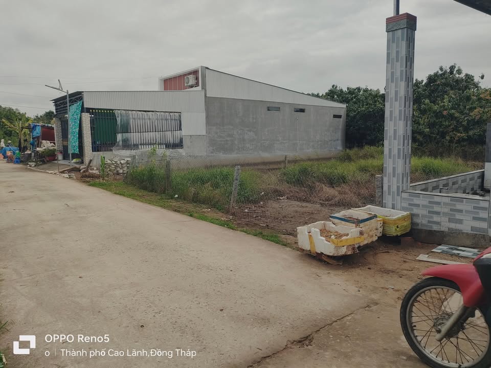 Đất thổ cư Cao Lãnh 114m² giá chỉ 950 triệu - Cơ hội đầu tư tuyệt vời!