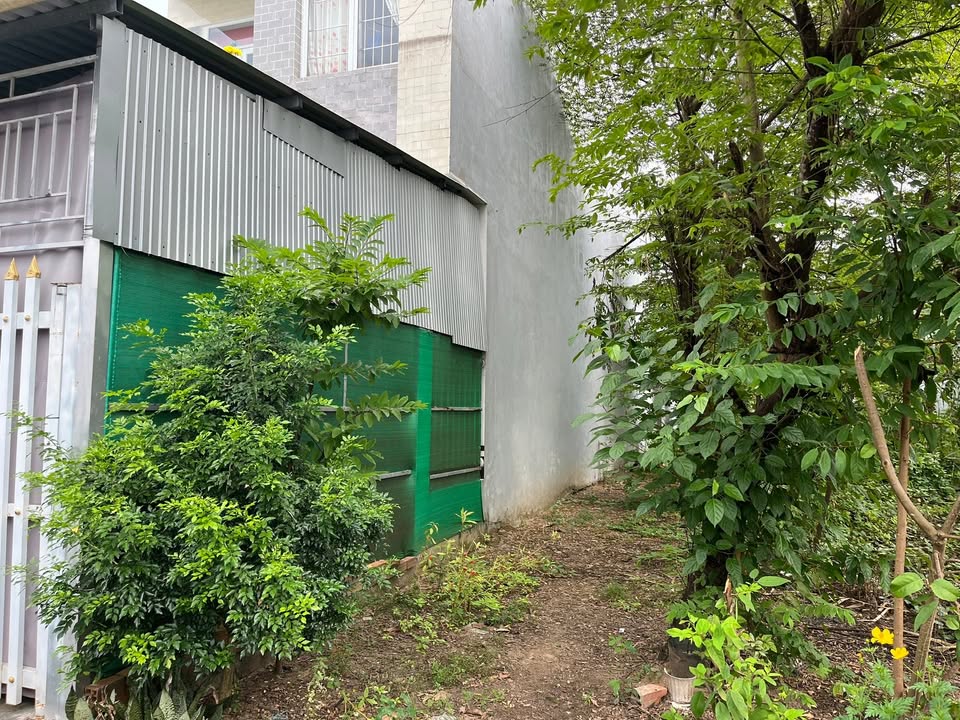 Đất nền khu Sao Mai, Bình Thạnh Trung 95m² giá 950 triệu - Cơ hội đầu tư hấp dẫn!