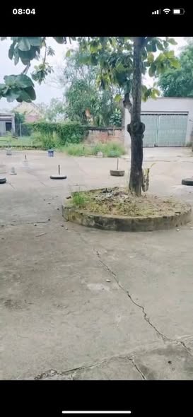 Đất nền Nghĩa Hồng 163m² giá 700 triệu - Bán gấp cho khách thiện chí!