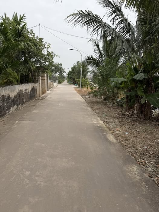 Đất nền xóm 6 xã Nam Điền 374m² giá 1.9 tỷ - Sổ đỏ chính chủ, vị trí đắc địa!