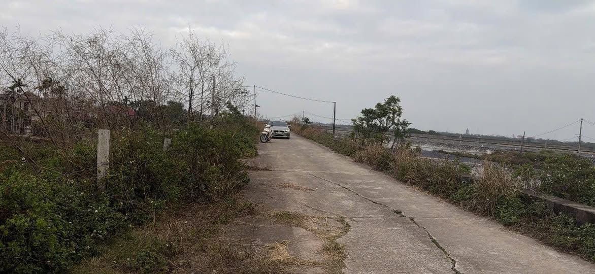 Đất thổ cư 361.88m² tại Nghĩa Bình, Nam Định - Giá chỉ 1.6 tỷ, hướng Đông thoáng mát!