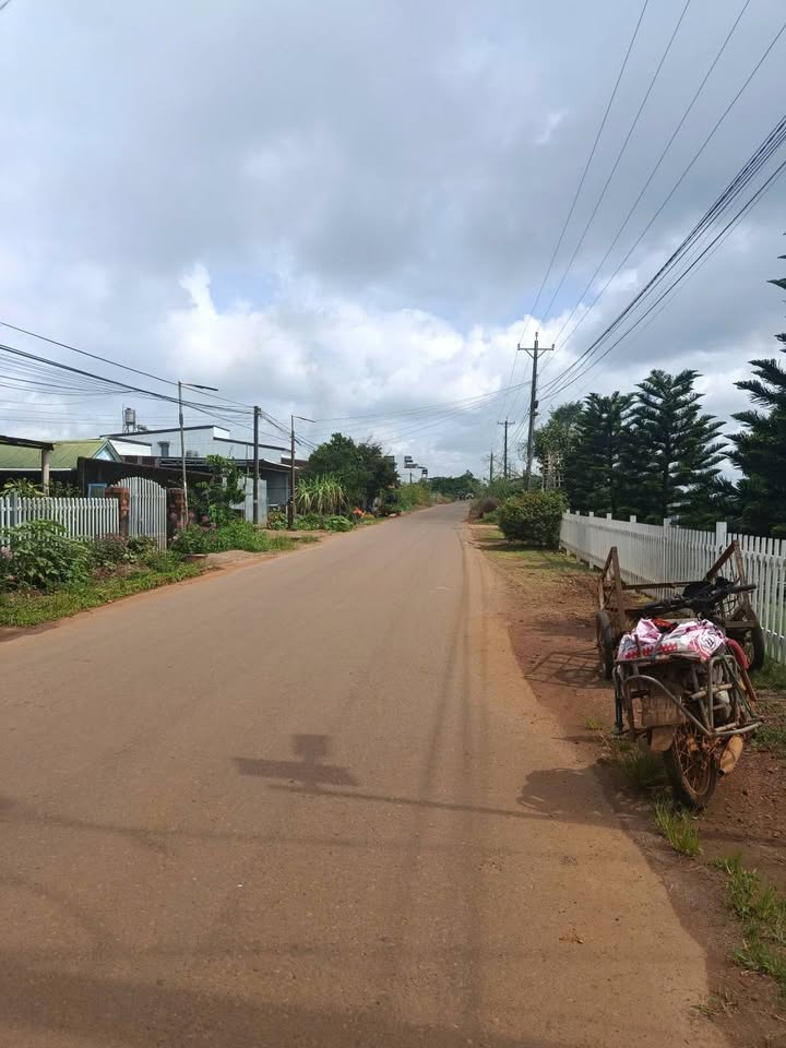 Đất mặt tiền đường nhựa 5000m² tại Bảo Lộc - Kinh doanh đắc địa giá chỉ 4.5 tỷ!