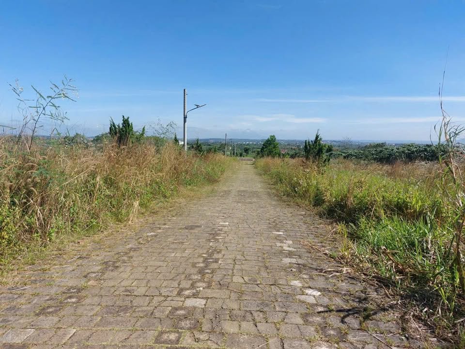 Đất nền Lộc Quảng Bảo Lâm 210m² giá 650 triệu - Cơ hội đầu tư tuyệt vời!