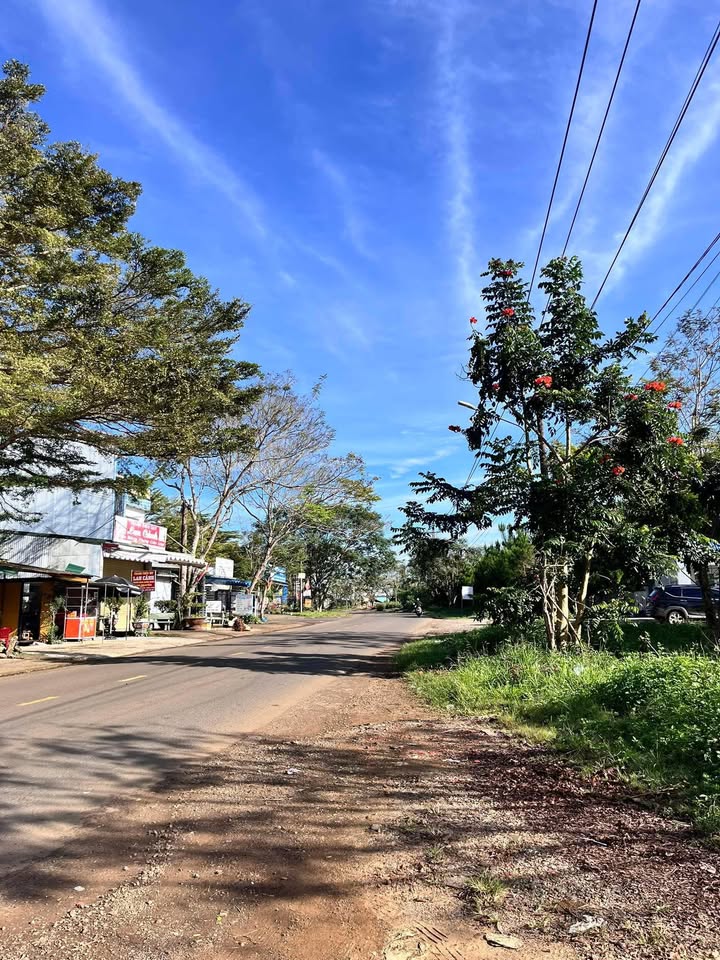 FrontHouse Bảo Lộc 120m² giá 5.5 tỷ - Mặt tiền Phạm Ngọc Thạch