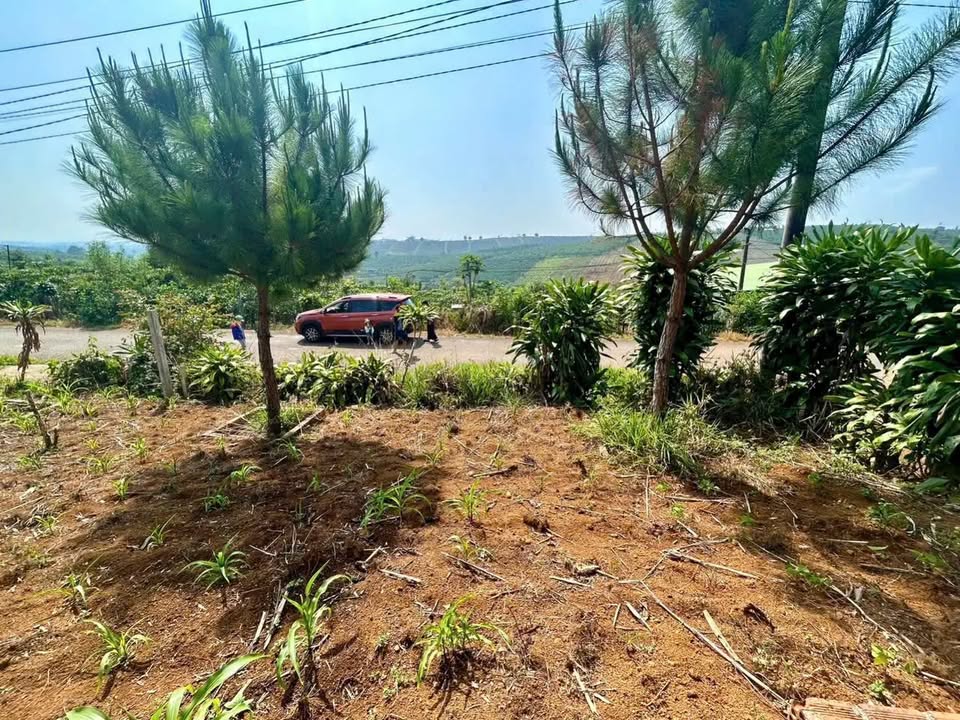 Đất thổ cư Lộc Quảng Bảo Lâm 286m² giá 800 triệu - Hạ giá bán nhanh!