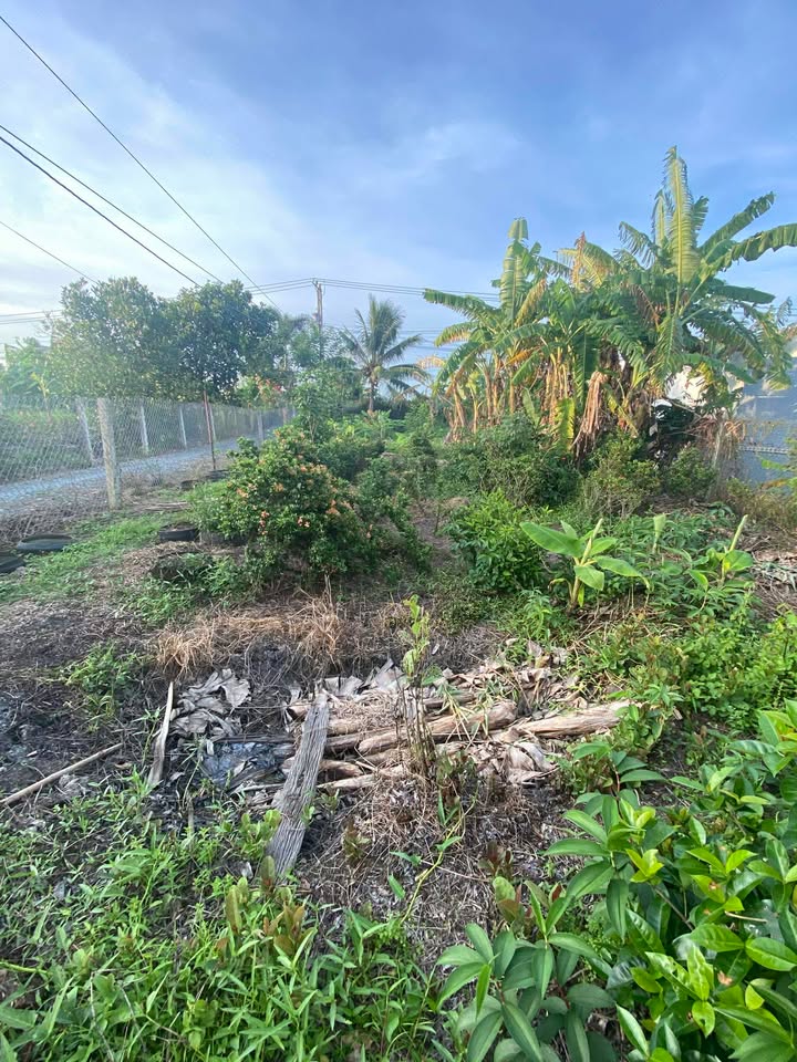 Đất nền 315m² ấp Phú Xuân, xã Phú Mỹ, giá 720 triệu - Đầu tư sinh lời ngay!