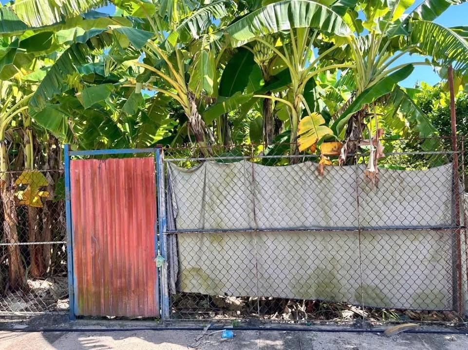 Đất thổ cư thôn Kiều Đoài, xã Đại Xuyên 300m² - Sổ đỏ chính chủ, giá thỏa thuận!