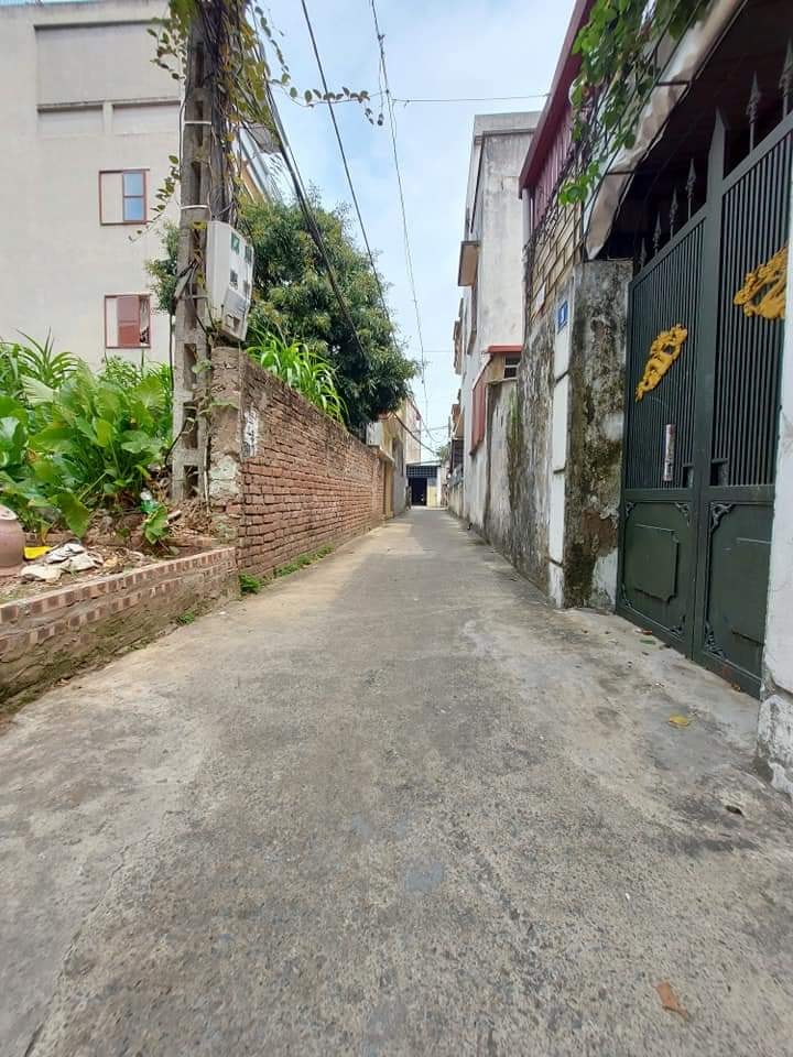 Đất nền đẹp khu vực Phúc Đồng, Long Biên 98m² giá 6.3 tỷ - Ô tô đỗ cửa, thoáng mát!