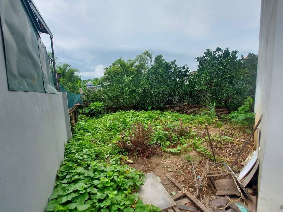 Đất Thổ Cư Thống Nhất Long Biên 52m² giá 1.5 tỷ - Cơ hội sở hữu ngay!