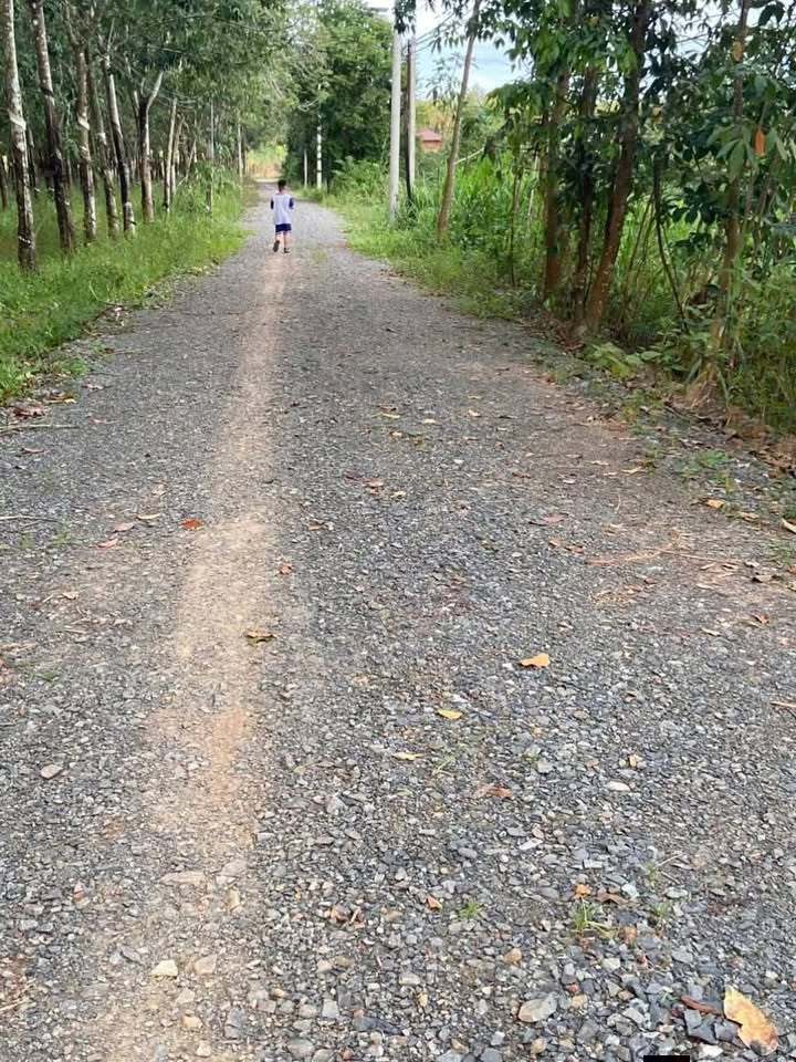 Đất nền Tân Hiệp, Tân Châu, Tây Ninh 200m² giá 200 triệu - Đầu tư sinh lời ngay!