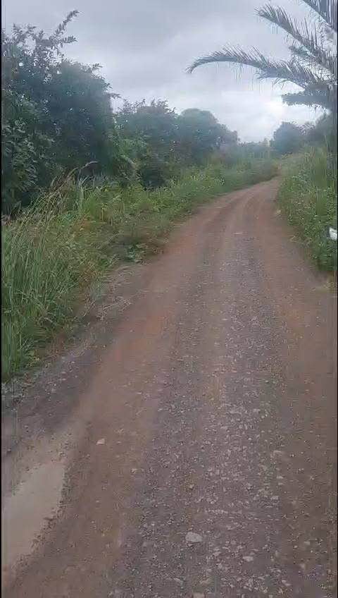 Nhà cấp 4 tại Đê Bao Vàm Cỏ Tây, Châu Thành, Long An - Giá chỉ 950 triệu!