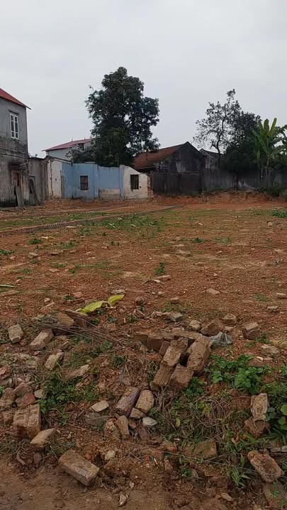 Đất nền 100m² tại Hoàng Vân, Bắc Giang chỉ 500 triệu - Cơ hội vàng đầu tư!